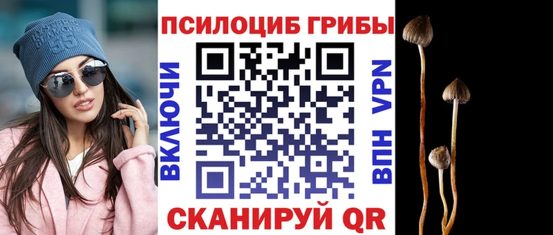 Галлюциногенные грибы MAGIC MUSHROOMS  сколько стоит  Краснозаводск 